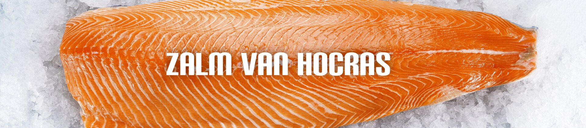 Zalm van Hocras